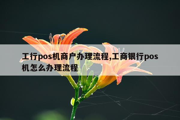 工行pos机商户办理流程,工商银行pos机怎么办理流程