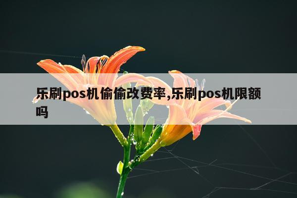 乐刷pos机偷偷改费率,乐刷pos机限额吗