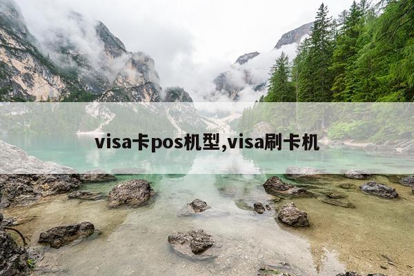 visa卡pos机型,visa刷卡机