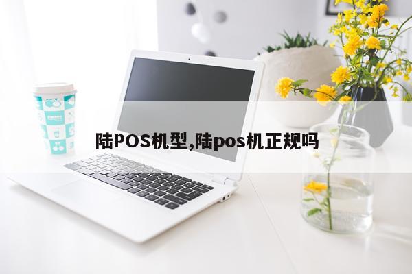 陆POS机型,陆pos机正规吗