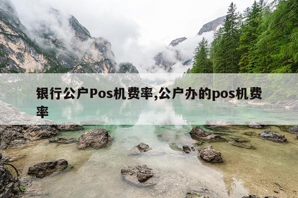 银行公户Pos机费率,公户办的pos机费率