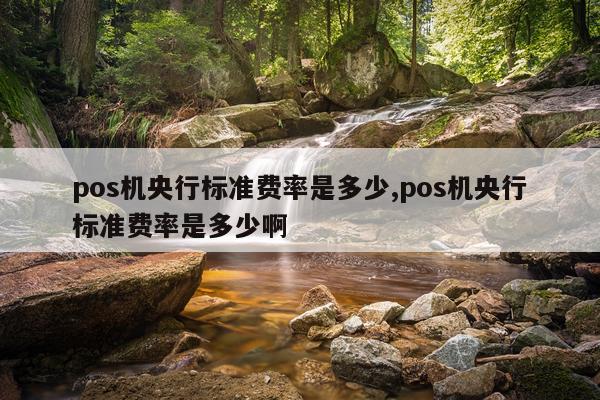 pos机央行标准费率是多少,pos机央行标准费率是多少啊