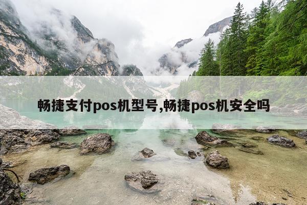 畅捷支付pos机型号,畅捷pos机安全吗