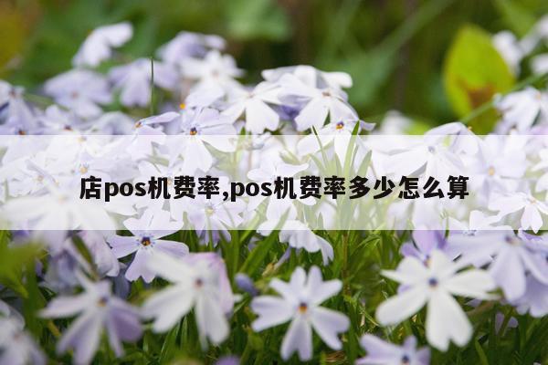 店pos机费率,pos机费率多少怎么算