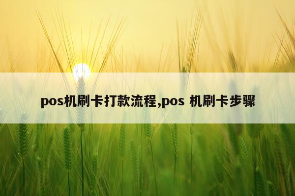 pos机刷卡打款流程,pos 机刷卡步骤