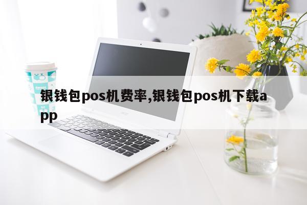 银钱包pos机费率,银钱包pos机下载app
