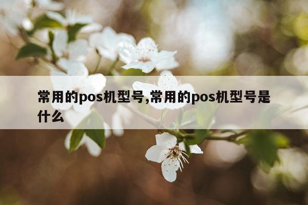 常用的pos机型号,常用的pos机型号是什么