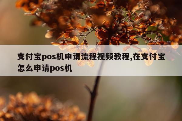支付宝pos机申请流程视频教程,在支付宝怎么申请pos机