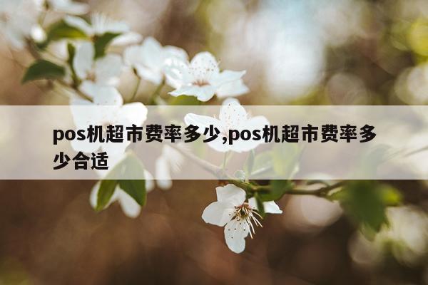 pos机超市费率多少,pos机超市费率多少合适