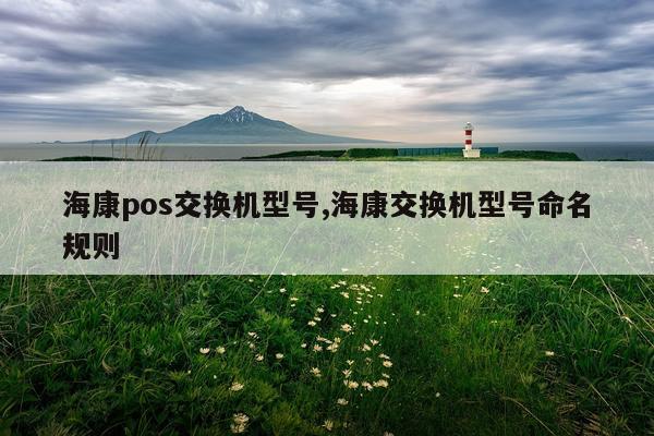 海康pos交换机型号,海康交换机型号命名规则