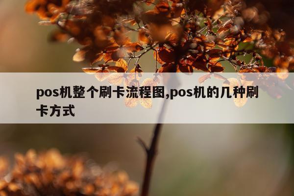 pos机整个刷卡流程图,pos机的几种刷卡方式