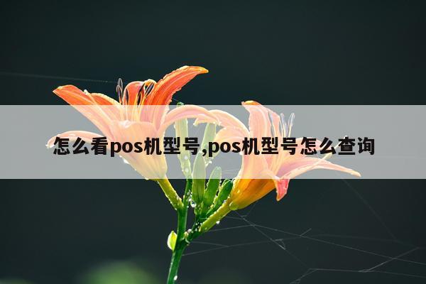 怎么看pos机型号,pos机型号怎么查询