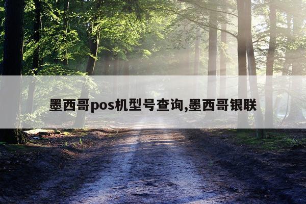 墨西哥pos机型号查询,墨西哥银联