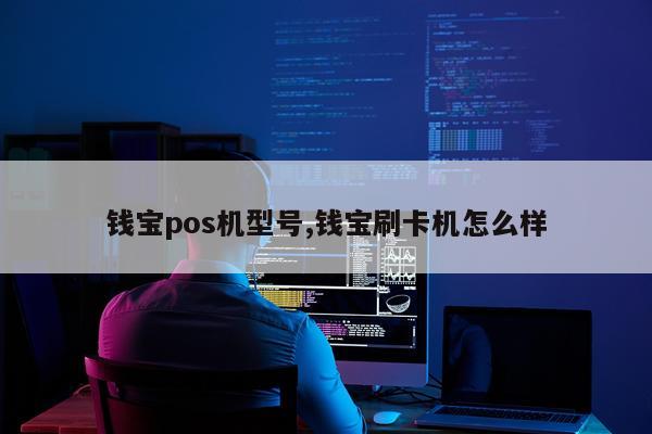 钱宝pos机型号,钱宝刷卡机怎么样