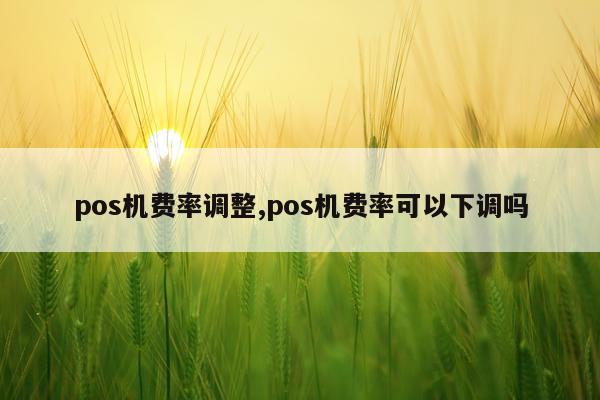 pos机费率调整,pos机费率可以下调吗
