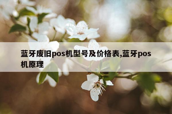 蓝牙废旧pos机型号及价格表,蓝牙pos机原理