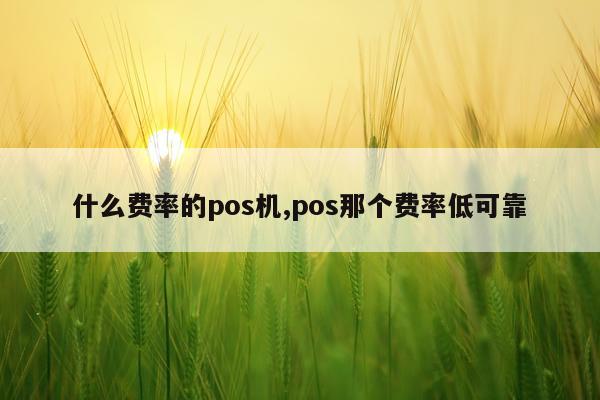 什么费率的pos机,pos那个费率低可靠