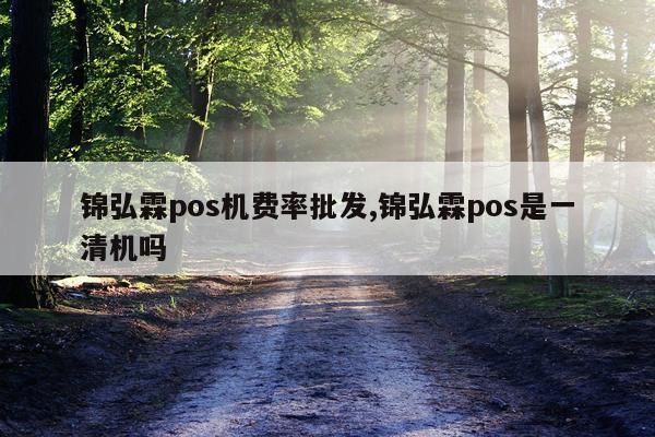 锦弘霖pos机费率批发,锦弘霖pos是一清机吗