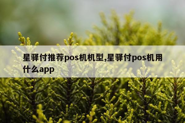 星驿付推荐pos机机型,星驿付pos机用什么app