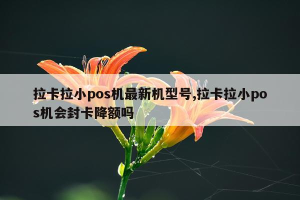 拉卡拉小pos机最新机型号,拉卡拉小pos机会封卡降额吗