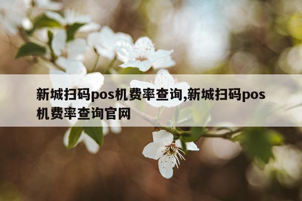 新城扫码pos机费率查询,新城扫码pos机费率查询官网