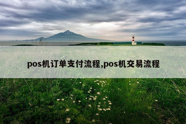 pos机订单支付流程,pos机交易流程