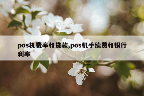 pos机费率和贷款,pos机手续费和银行利率