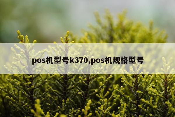 pos机型号k370,pos机规格型号
