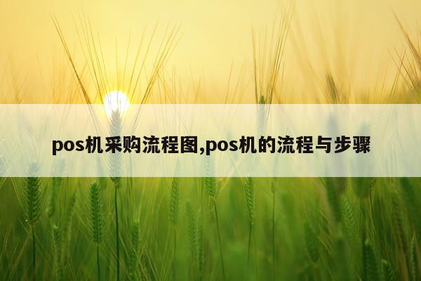 pos机采购流程图,pos机的流程与步骤