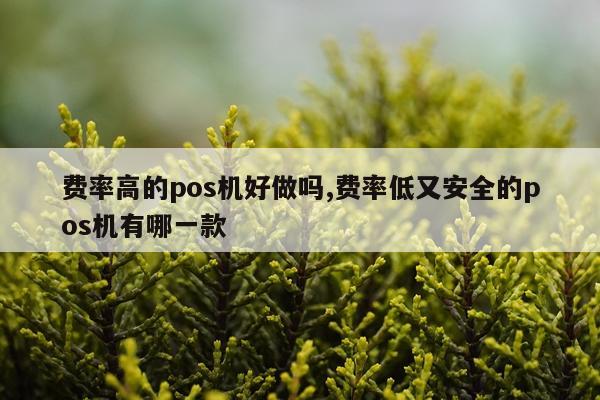 费率高的pos机好做吗,费率低又安全的pos机有哪一款