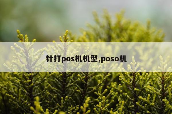 针打pos机机型,poso机