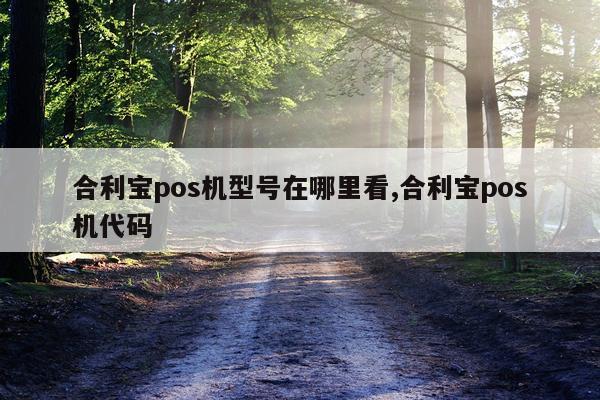 合利宝pos机型号在哪里看,合利宝pos机代码
