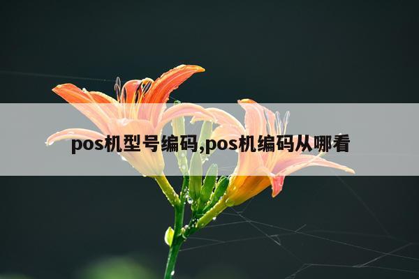 pos机型号编码,pos机编码从哪看