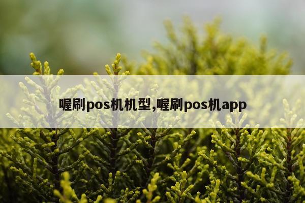 喔刷pos机机型,喔刷pos机app