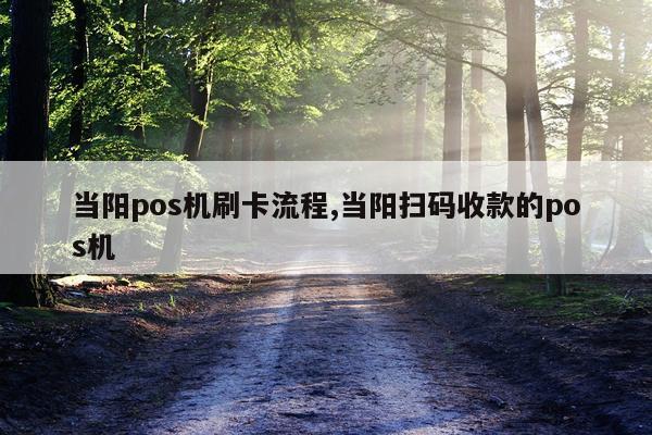 当阳pos机刷卡流程,当阳扫码收款的pos机
