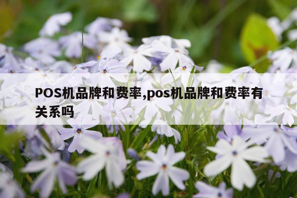 POS机品牌和费率,pos机品牌和费率有关系吗