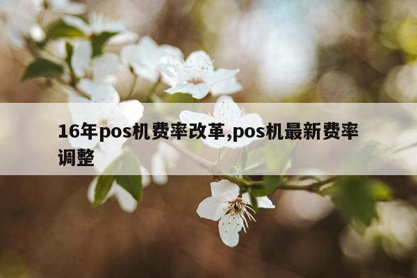 16年pos机费率改革,pos机最新费率调整