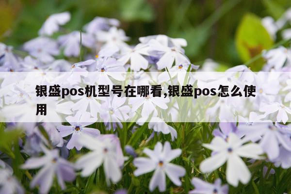 银盛pos机型号在哪看,银盛pos怎么使用