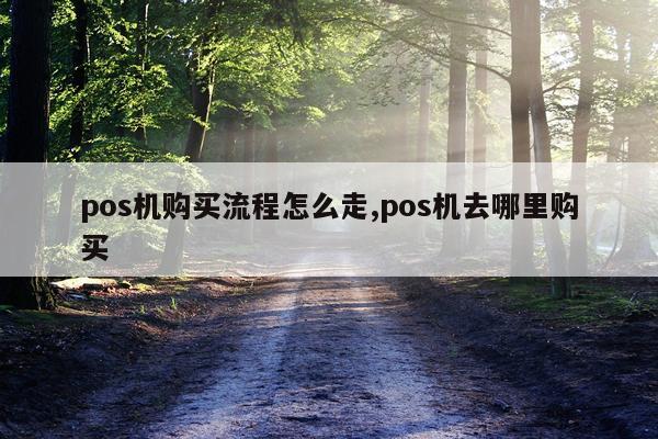 pos机购买流程怎么走,pos机去哪里购买