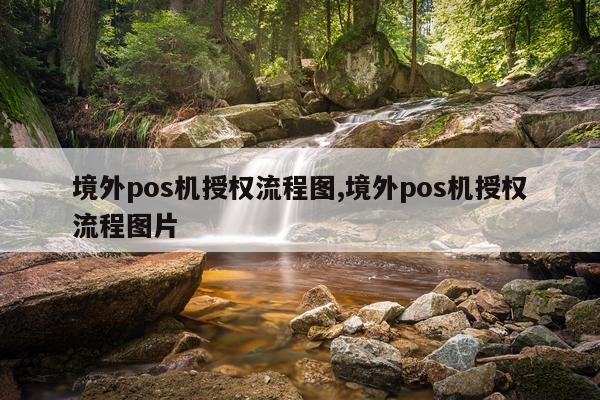 境外pos机授权流程图,境外pos机授权流程图片