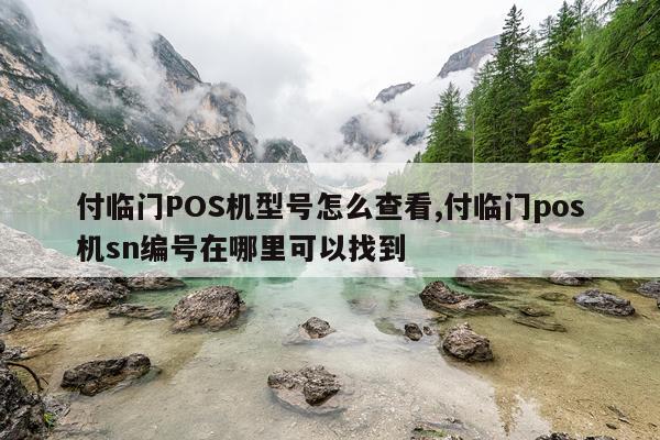 付临门POS机型号怎么查看,付临门pos机sn编号在哪里可以找到