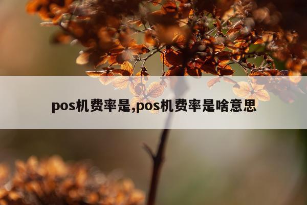 pos机费率是,pos机费率是啥意思