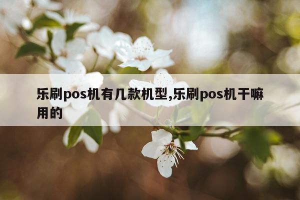 乐刷pos机有几款机型,乐刷pos机干嘛用的