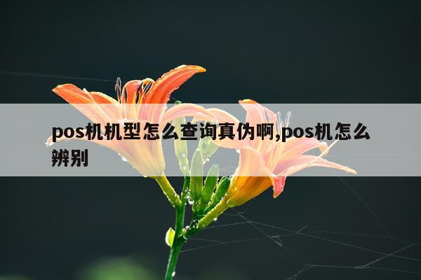 pos机机型怎么查询真伪啊,pos机怎么辨别