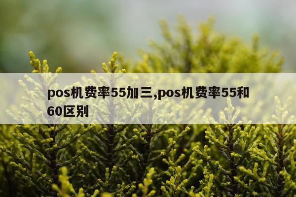 pos机费率55加三,pos机费率55和60区别