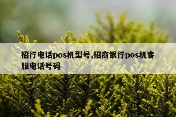 招行电话pos机型号,招商银行pos机客服电话号码