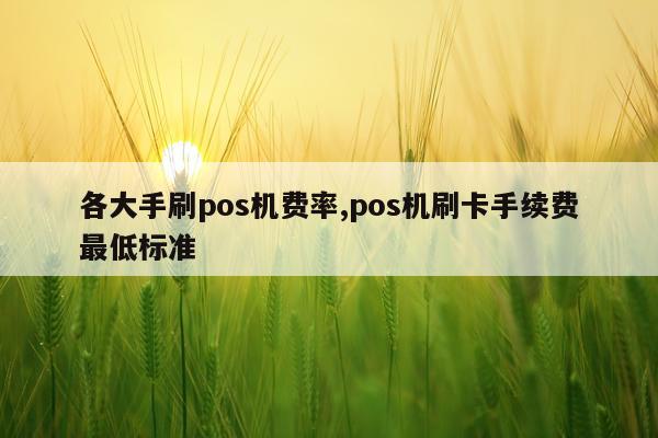 各大手刷pos机费率,pos机刷卡手续费最低标准