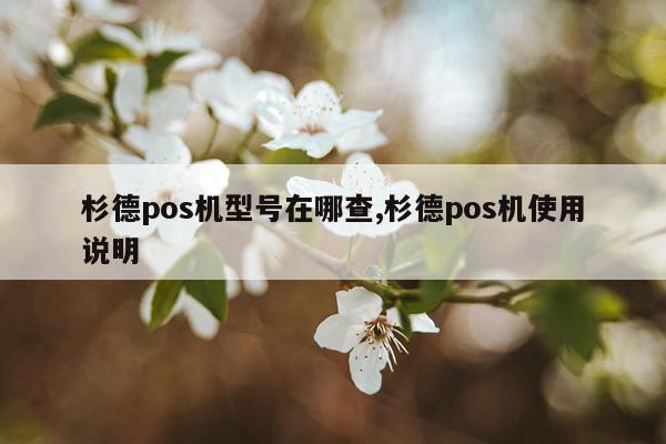 杉德pos机型号在哪查,杉德pos机使用说明