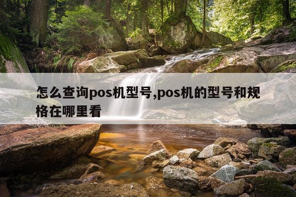 怎么查询pos机型号,pos机的型号和规格在哪里看
