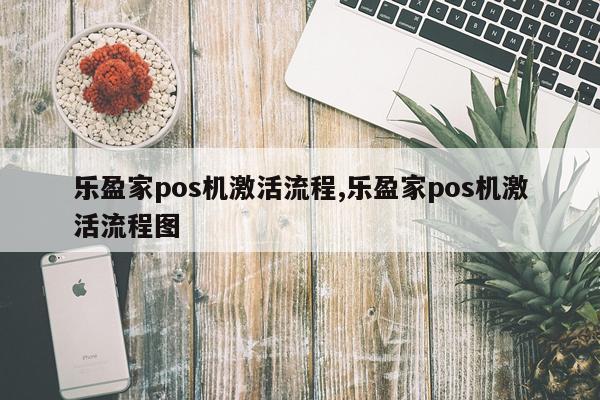 乐盈家pos机激活流程,乐盈家pos机激活流程图